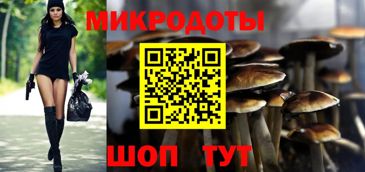 Псилоцибиновые грибы Cubensis Кимры