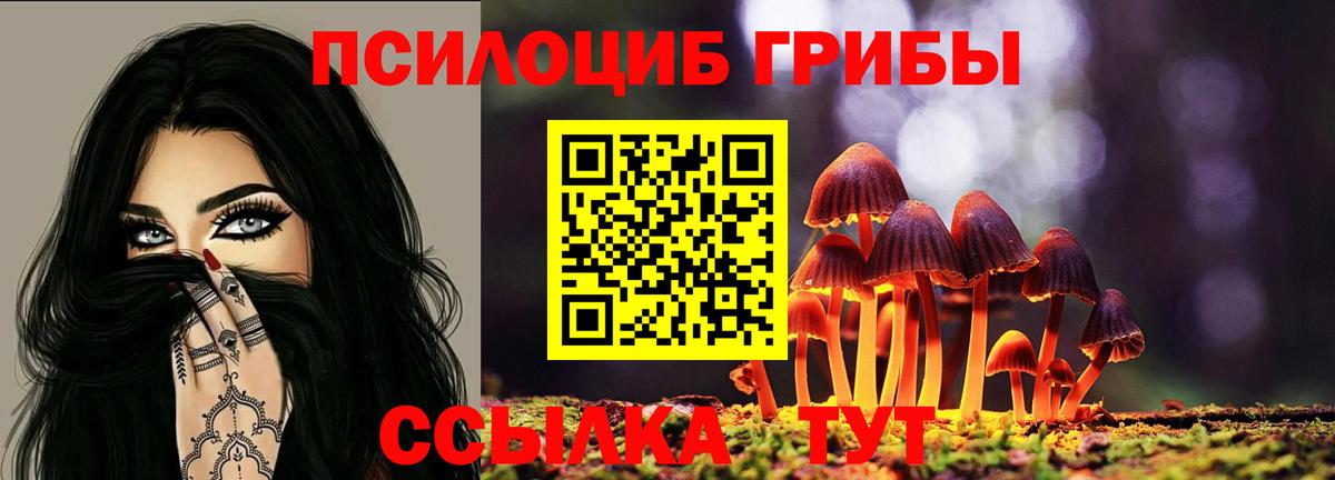 Псилоцибиновые грибы ЛСД  Вход с VPN  Галлюциногенные грибы прущие грибы  закладка  Кимры 